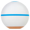 Tama Only - White w/ Thin Blue Stripe - Silk